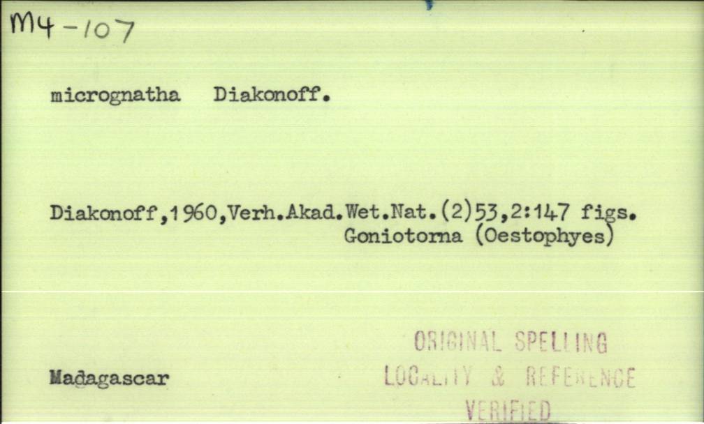 front of card